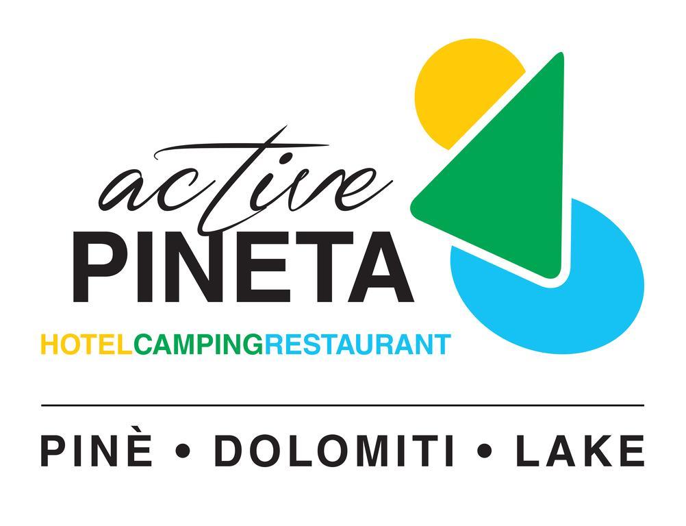 Hotel Pineta Базельга-ди-Пине Экстерьер фото